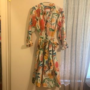 Anthropologie L button up dress EUC